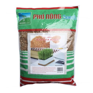 Hạt giống Mầm lúa mạch ( Barley Grass ) Phu Nong Seeds gói lớn 1kg