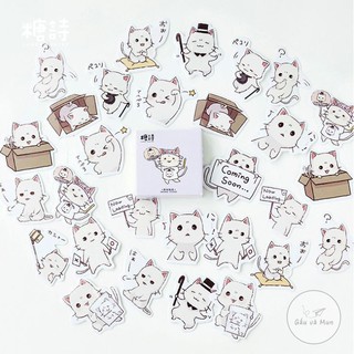 【B1.9】 HỘP 45 STICKER ACT-CUTE CAT