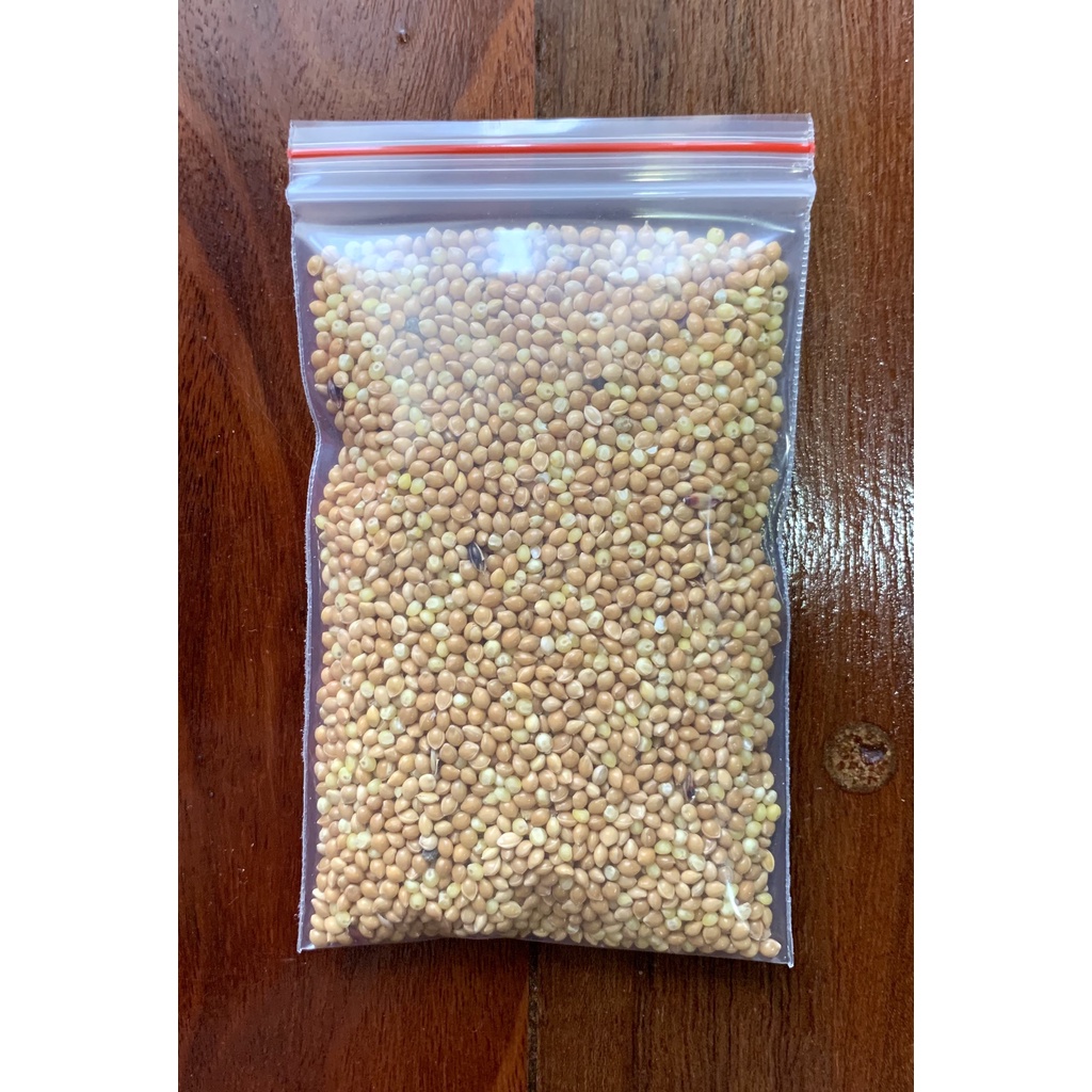 Hạt kê cho Hamster