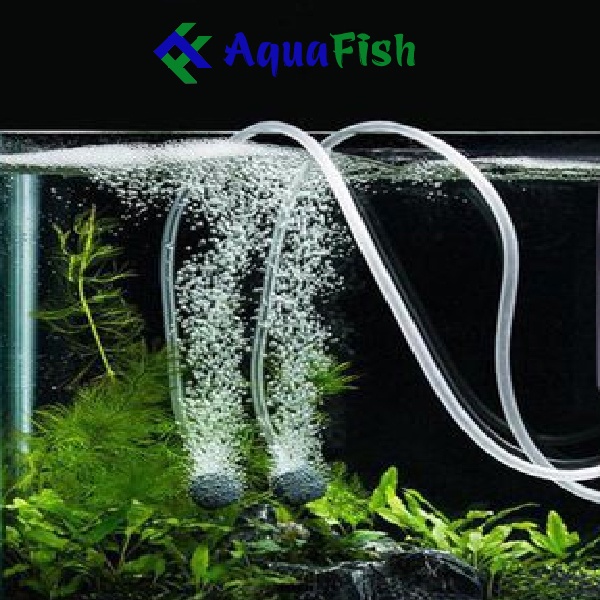 Máy sủi oxy 2 vòi Rs 348a, máy sục oxy mini cho bể cá cảnh (tặng kèm 2 mét dây và 2 quả sủi oxy)