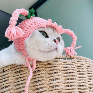 Nón len cho mèo,cún,thỏ,......