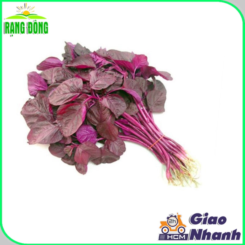 Hạt giống Rau Dền Đỏ Dễ Trồng, Kháng Sâu Bệnh Tốt (gói 20 gram) - Hạt giống Rạng Đông