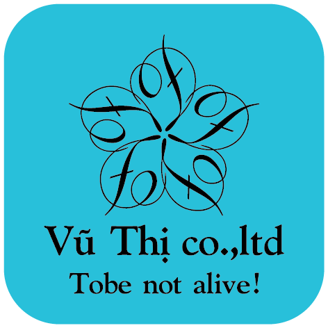 Hộp Giấy Vũ Thị