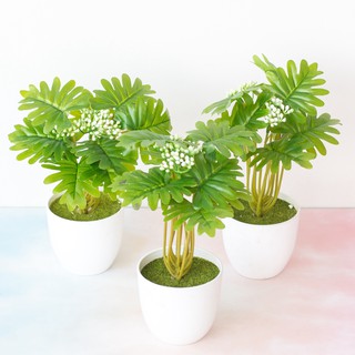 CÂY LÁ LƯỢC VÀNG - LÁ RÙA CÓ HOA 23CM - 12 NHÁNH trang trí để bàn - Cây thủy sinh HOA GIẢ