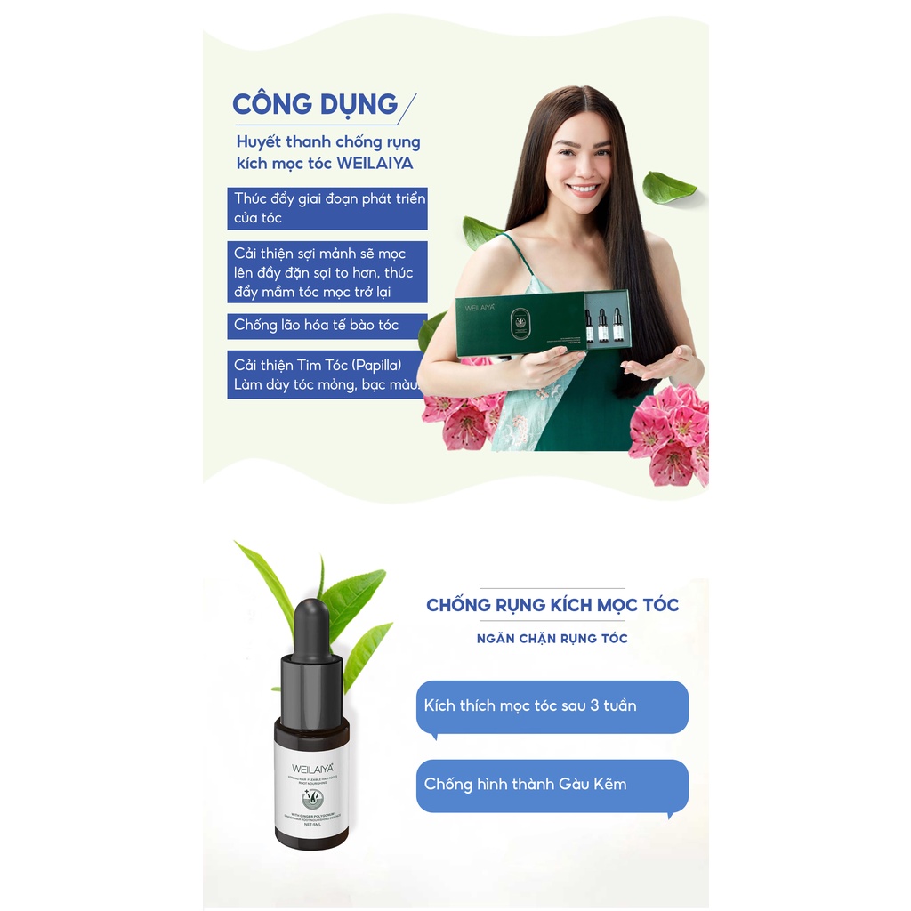 Huyết thanh WEILAIYA GINGER HAIR ROOT NOURISHING ESSENCE chống rụng kích mọc tóc set 8 lọ x 5ml