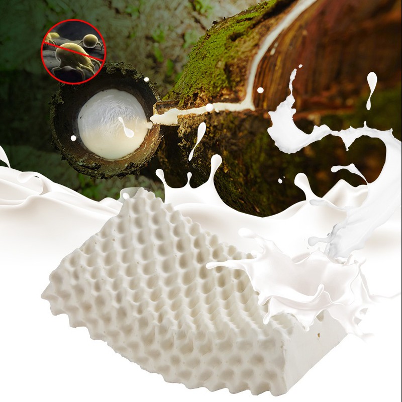 Gối cao su non thiên nhiên, chống mỏi cổ, độ đàn hồi cao, kháng khuẩn và ký sinh trùng