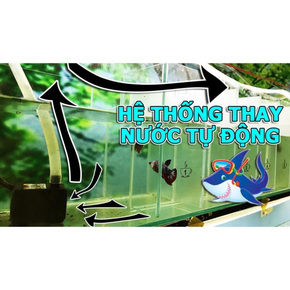 Dây 8 Li - Gắn vào máy bơm nước hoặc máy oxy - 1m dây 8 Li