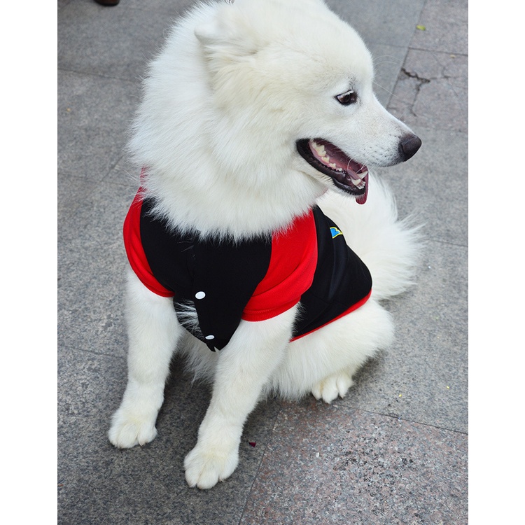 Áo cho chó lớn, đồ cho chó lớn mùa đông Superman nỉ hoddie
