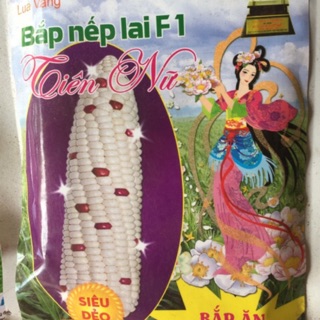 Hạt giống Bắp nếp lai Tiên nữ 100gram