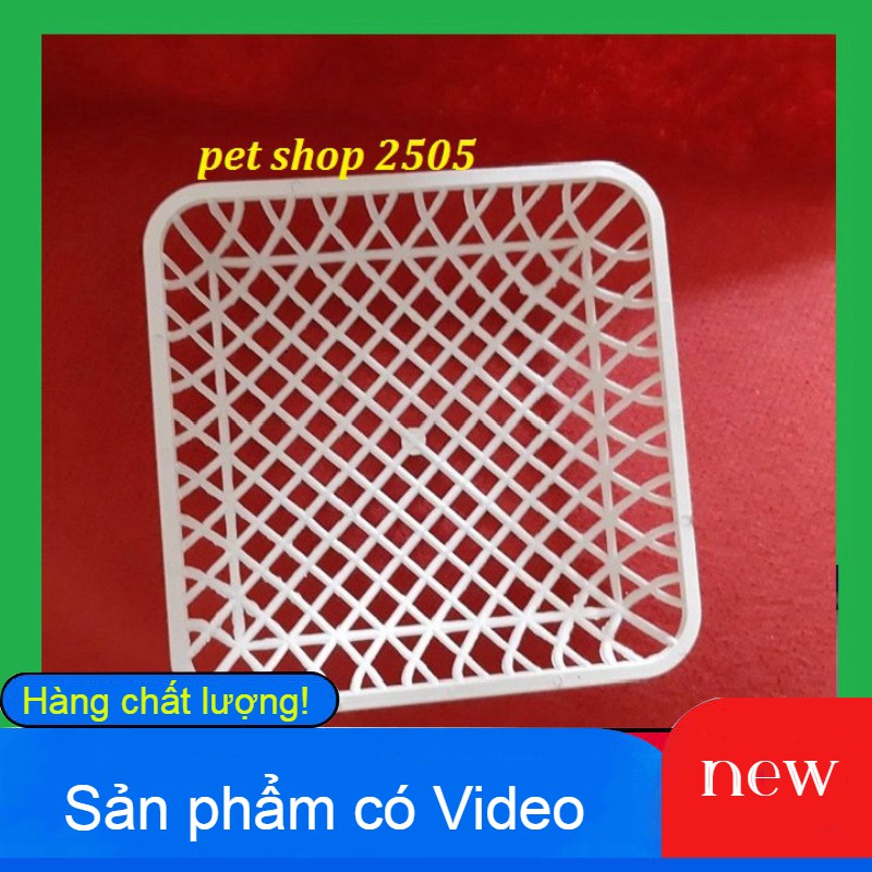 COMBO 10 Ổ ĐẺ CHO CHIM BỒ CÂU-Ổ ĐẺ KÈM VANH SẮT GIÁ RẺ