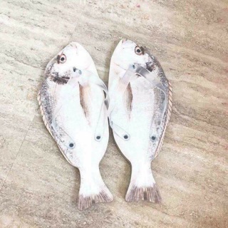 Dép Thịt thà cá mú