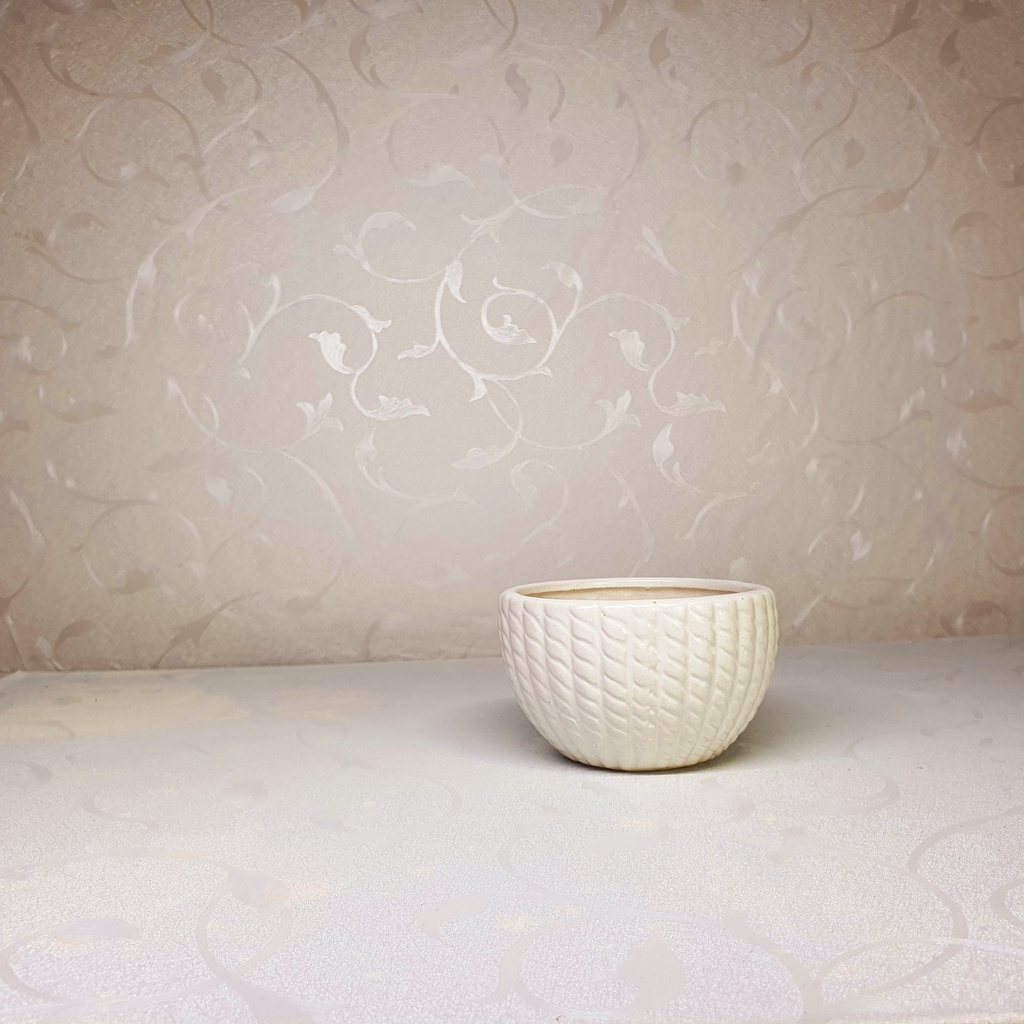 Chậu trồng cây cảnh , sen đá , xương rồng - Kiểu vành tròn -   và