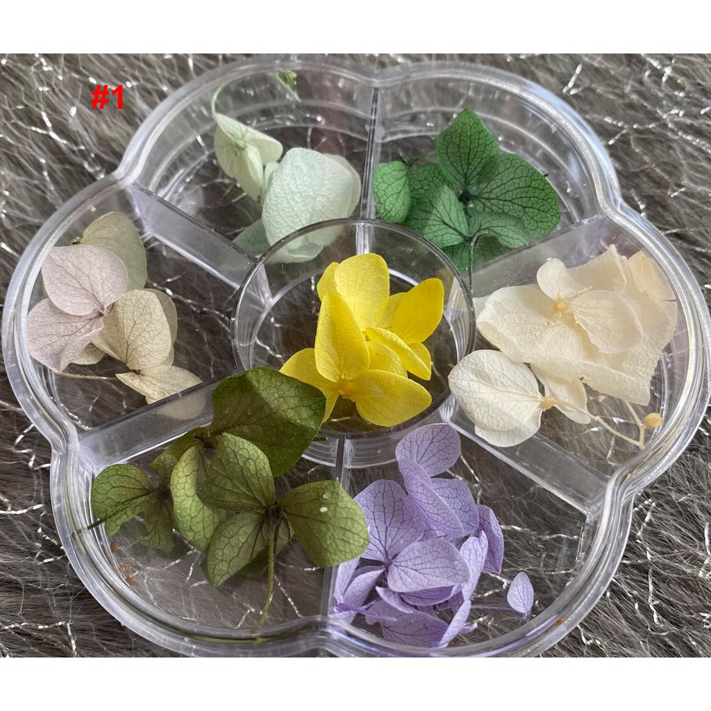 Hoa Khô Lụa Cánh To Ẩn Gel, Ẩn Bột - Trang Trí Móng Nail Art - Lẻ 1 hộp
