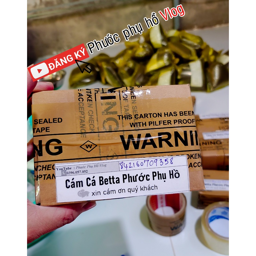 Cám cá betta phước phụ hồ | Chuyên dùng để kích lên màu cho cá betta