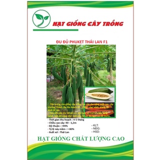 Hạt giống đu đủ ruột đỏ siêu dài phuket thái ct122 - gói 20 hạt