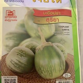 HẠT GIỐNG CÀ DƯA XANH QUẢ TO THÁI LAN