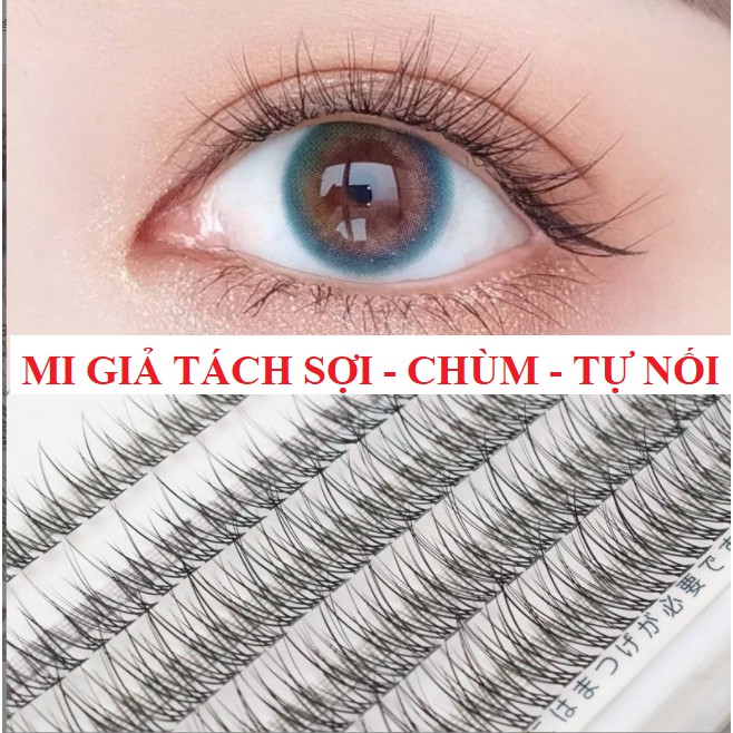 Lông mi giả tự nối chùm chữ V  độ dài 8-12mm  No.2 mềm, nhẹ