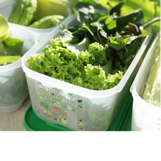 Hộp trữ mát Vensmart 4.4L Tupperware
