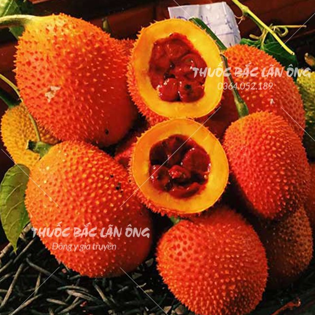 Hạt Gấc Khô 100g