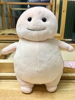 Gấu bông mỡ size 30cm