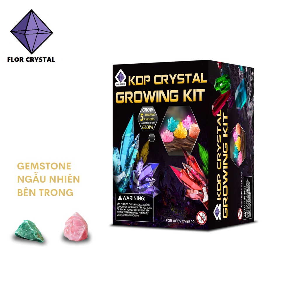 🥑 Bộ đồ chơi khoa học nuôi tinh thể KDP CRYSTAL GROWING KIT 🍓 FLOR CRYSTAL