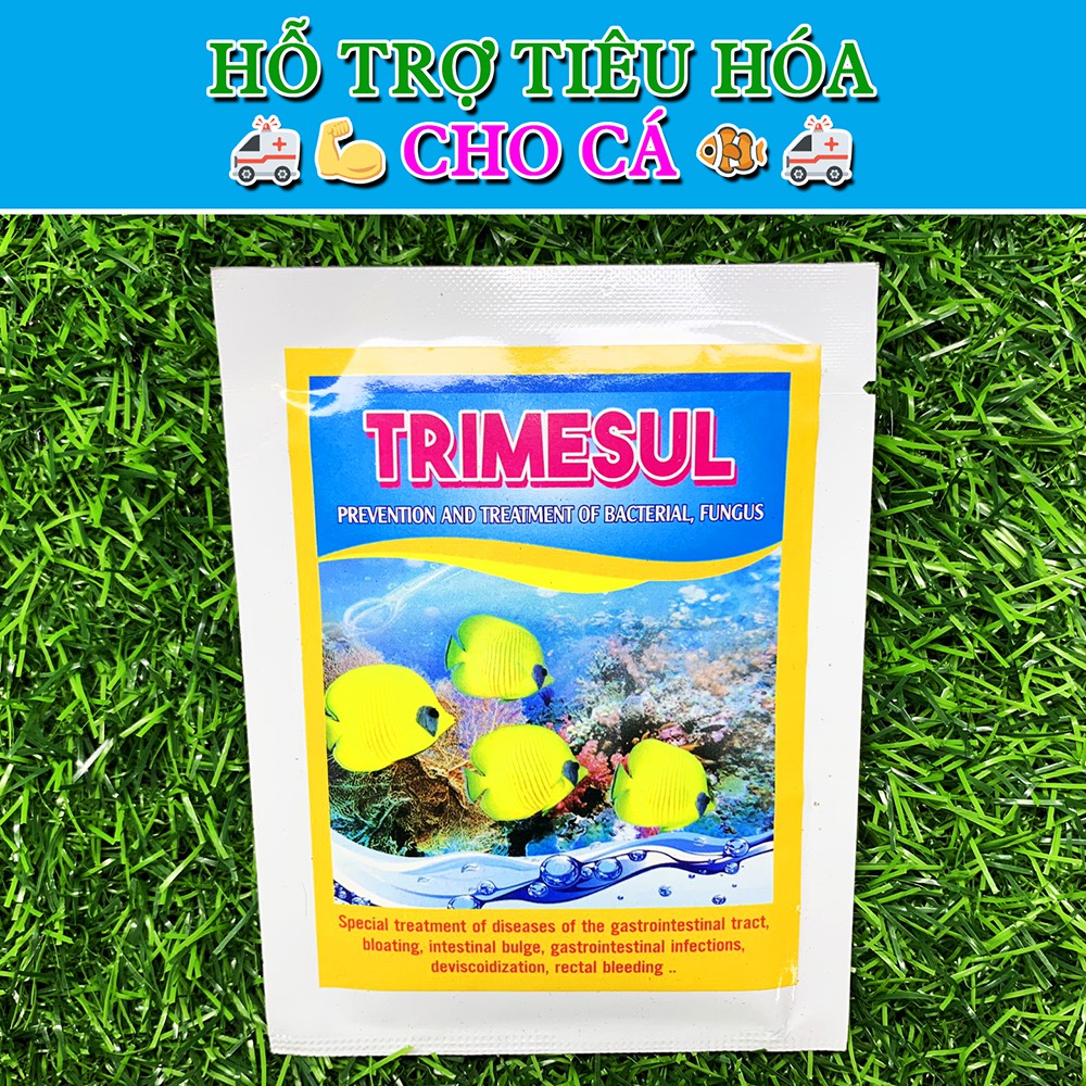 TRIMESUL - Dưỡng cá, chống vi khuẩn,Tri Nam cho cá - 1 gói 10g