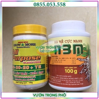 Combo phân bón Growmore 20-20-20 100gr và hũ kích rễ N3M 100gr
