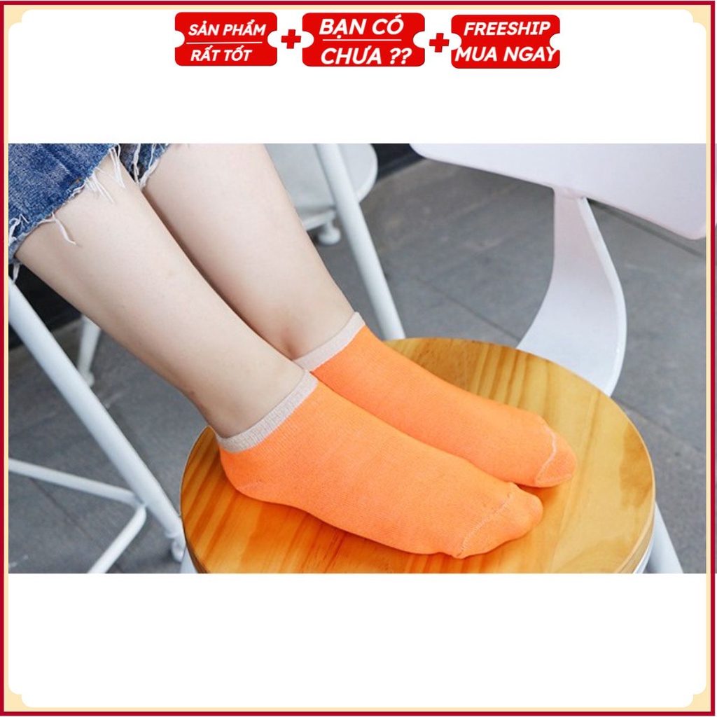 TẤT VỚ CỔ NGẮN T2 Nam - Nữ Free Size Co Giãn Tốt - Kiểu Dáng Cổ Thấp Hàn Quốc Trẻ Trung, Thấm Hút Mồ Hôi