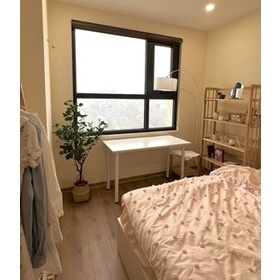 Cây giả - cây Bạch đàn 1m3 - Chưa gồm giỏ