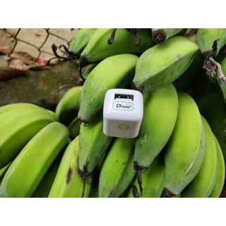 Củ sạc icore 1a uwc200