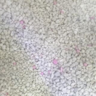 Cát buddy trắng lót chuồng cho hamster