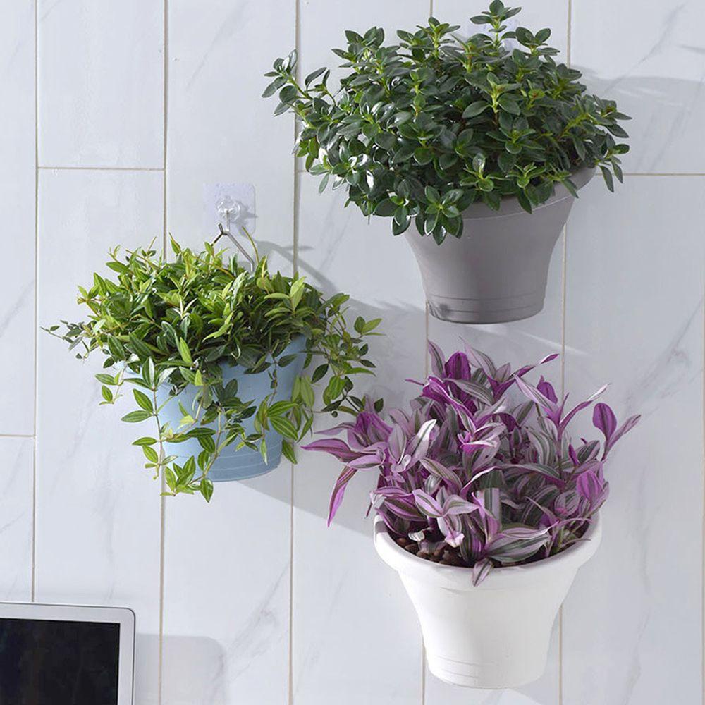 Chậu Hoa Treo Tường Trang Trí Ban Công
