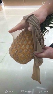 Quần tất muji siêu dai