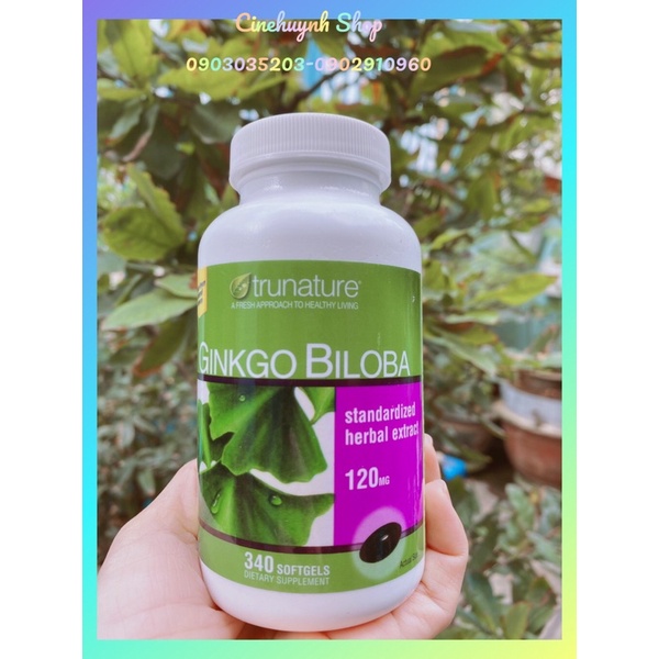 VIÊN UỐNG GINKO BILOBA CỦA TRUNATURE 340v MỸ (DATE 2024)
