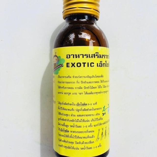 Kích rễ siêu hót của thái ( exotic)