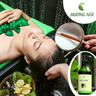 Dầu Gội Bồ Kết Cô Đặc | 100% Organic | Trị Nấm Ngứa | Giảm Rụng Tóc | Phục Hồi Tóc Hư Tổn | Kích Thích Mọc Tóc