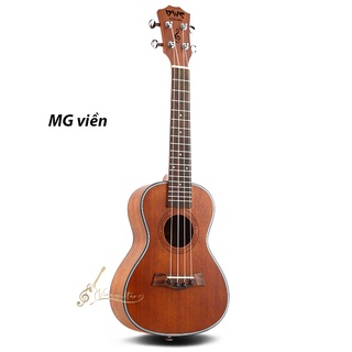 Đàn Ukulele BWS BMGV1 Concert Tenor Full Gỗ Sapale 23 inch Chính Hãng