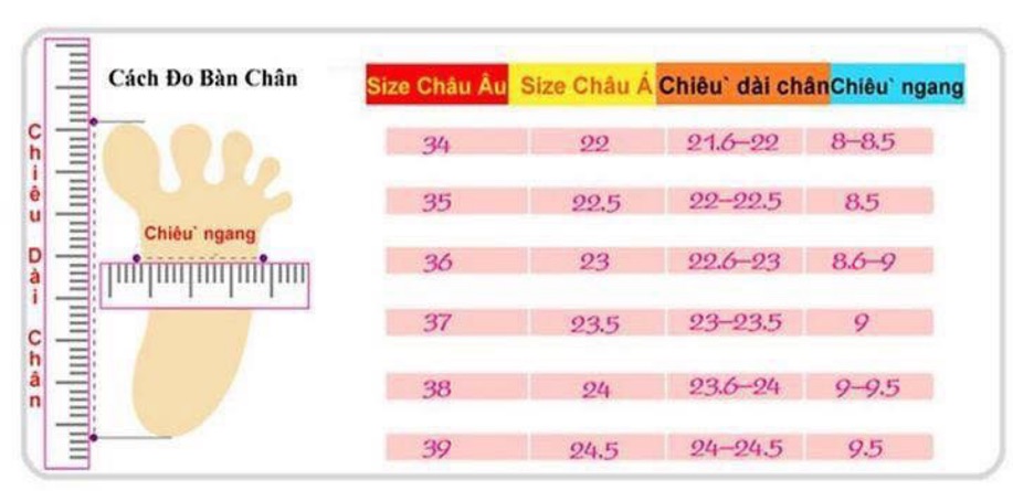 SANDAL NỮ CAPELLA SLINGBACK 6P MŨI NHỌN