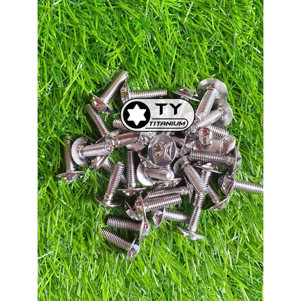Ốc Salaya inox304 6li15 Dù Ngẫu Nhiên gắn dè , ốp pô , dàn áo thông dụng các dòng xe