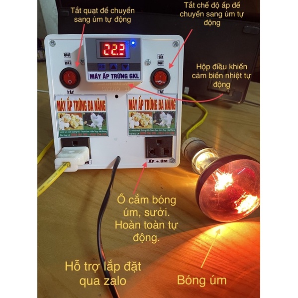 máy ấp trứng, ấp các loại trứng như gà, vịt, ngan, ngỗng...