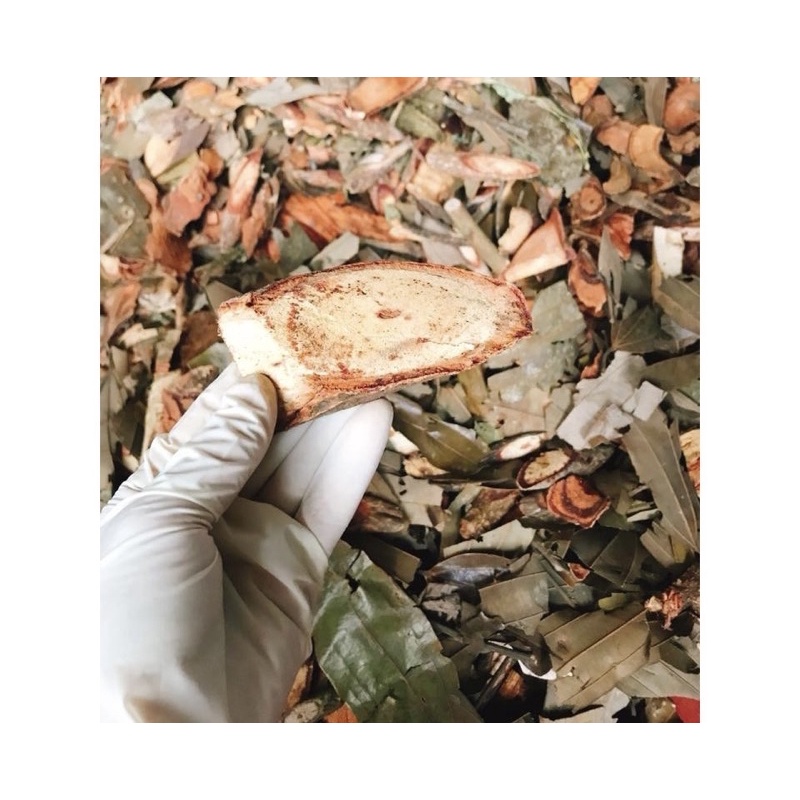 Bột Lá Tắm Dao Đỏ Sau Sinh SAPA - Gói 12 túi tắm được 12 lần - Bột Tắm Trắng Thiên Nhiên