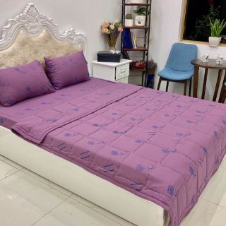 chăn hè ga gối đũi