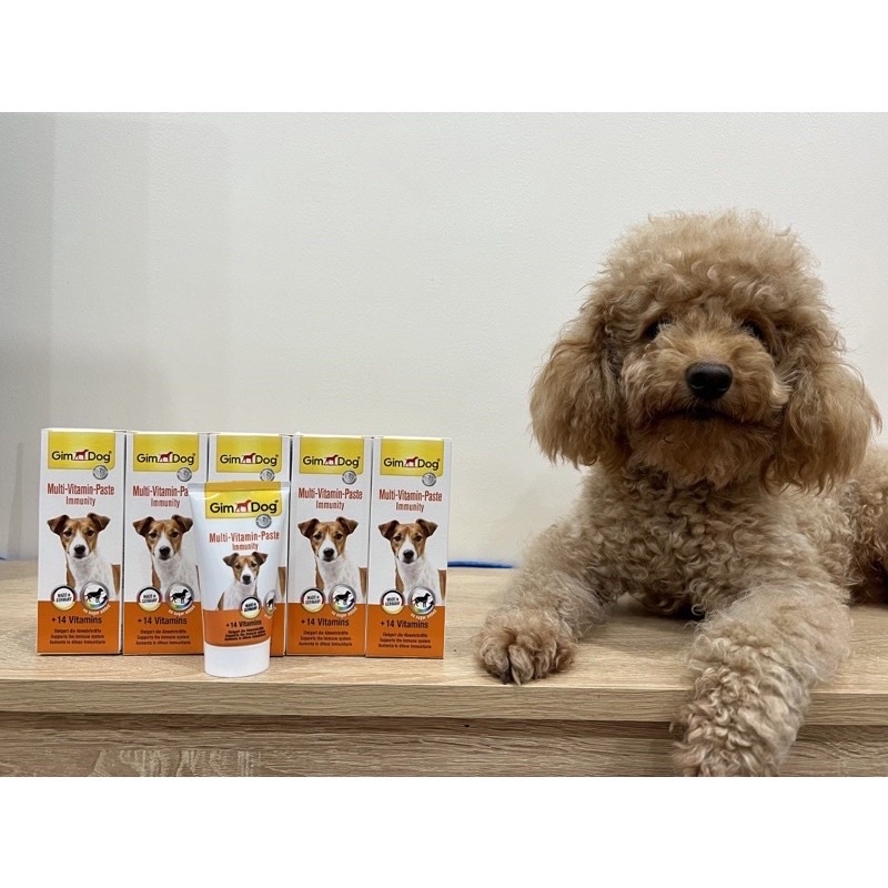 [ 50gr ] Gel dinh dưỡng GimDog cho chó  Hàng nhập Đức 🇩🇪 MADE IN GERMANY 🇩🇪