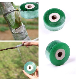 Cuộn băng keo tự dính 2cm * 100m dùng ghép cây trồng tiện dụng