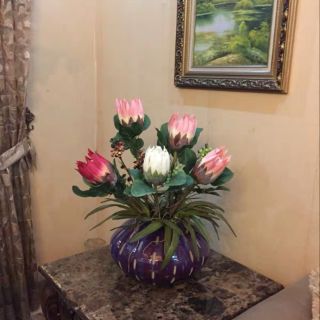 Hoa lụa - quốc hoa Nam Phi - hoa Protea
