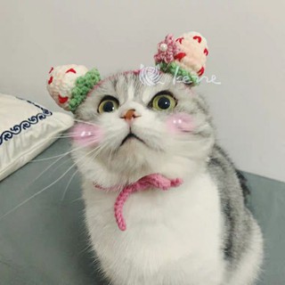 Nón len trái dâu cho mèo, cún, thỏ,...