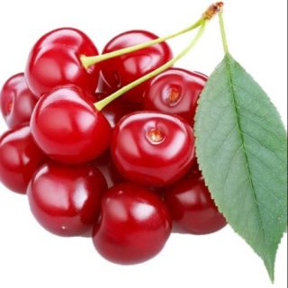 Hạt giống Anh đào (Cherry)