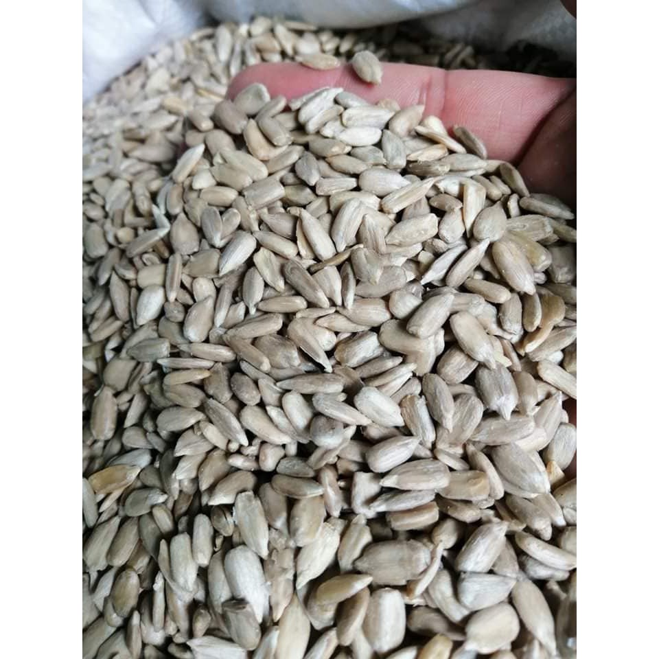 500g nhân hạt hướng dương chín