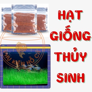 Hạt giống cây thủy sinh dùng cho tự SETUP hồ thủy sinh