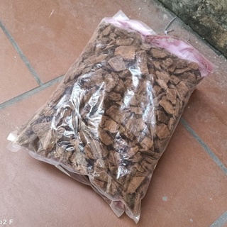 Vỏ Thông Abe Đã Xử Lý Các Size 1kg